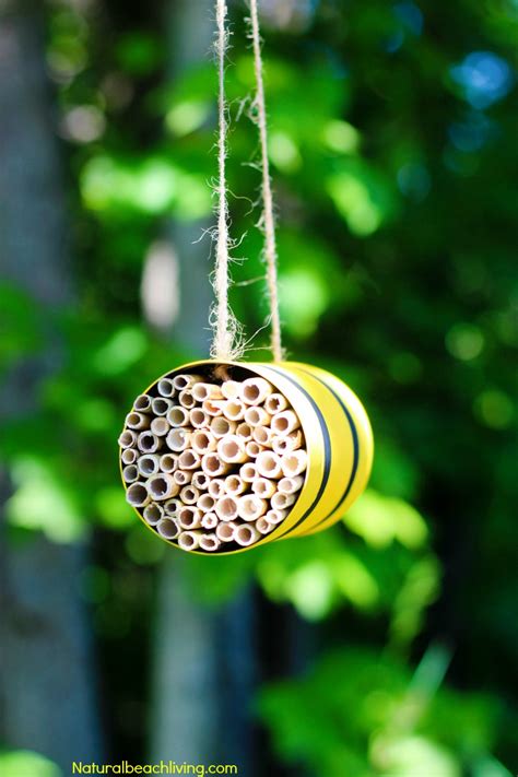 Jun 07, 2019 · attach a wire plate holder to the back of an acrylic plate. 25 Homemade Bird Feeders You'll Want to Make Today - Natural Beach Living