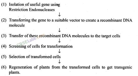 Ncert Exemplar Class 12 Biology Chapter 12 Biotechnology And Its