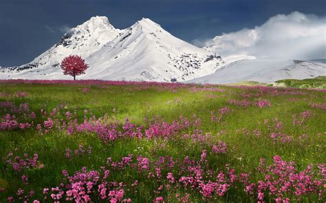 Spring Snow Mountains Nature Winter Wallpaper 2048x1278 291373