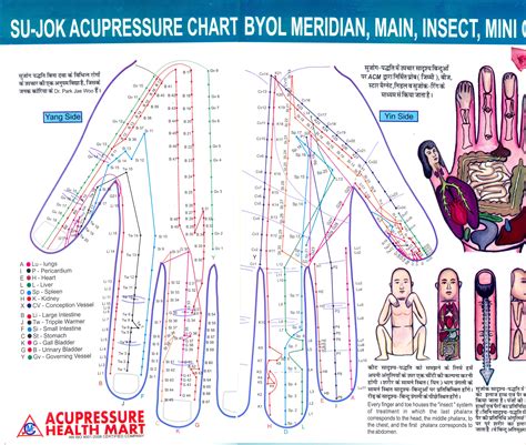 Sujok Acupressure Chart Meridian Acupressure Chart Acupuncture