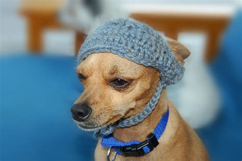 Posh Pooch Designs Dog Clothes Visor For Dogs Crochet Pattern