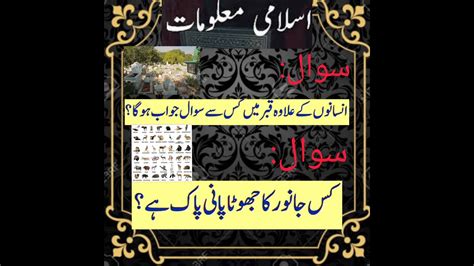 New Islamic Paheliyan In Hindi Riddles In Urdu Gk Questions Answers