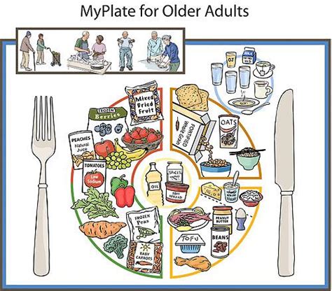 Food guide pyramid booklet, 1992 (revised 1996) english. A New Tool for Senior Nutrition