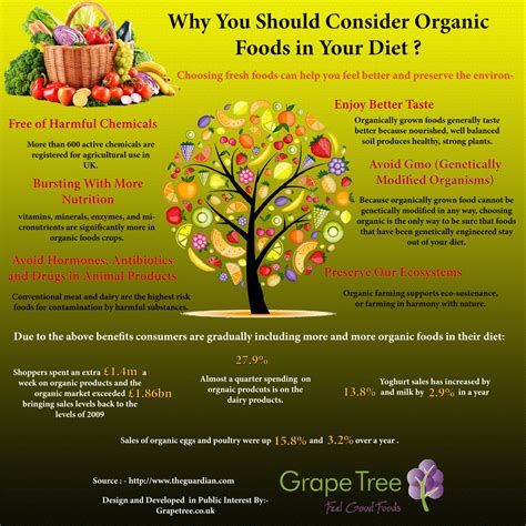 Why You Should Consider Organic Foods In Your Diet Visually