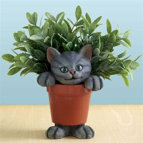 Cat Flower Pots Golly Gee Gardening