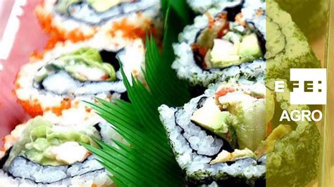 El éxito Del Sushi Envasado Youtube
