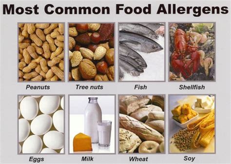New Study Says Food Allergies Are More Common And Severe Than Thought