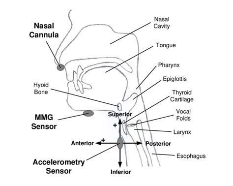 1 Sensor Placement With Respect To Relevant Anatomical Structures