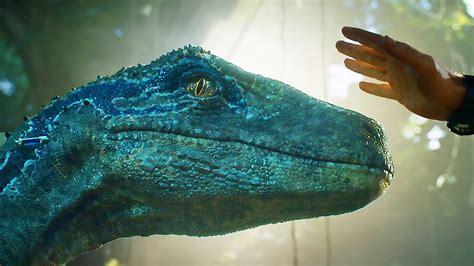 Capturing Blue Scene Jurassic World Fallen Kingdom 2018 Movie Clip