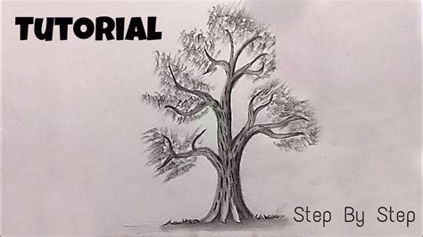 Learn To Draw A Realistic Tree Under Minutes Tutorial Step By