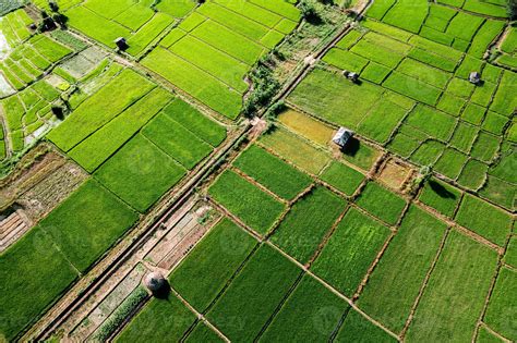 Landscape Paddy Rice Field In Asia Aerial View Of Rice Fields 3322625