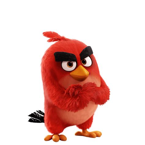 Incredible Compilation Of Angry Bird Images In Full 4K Quality Over