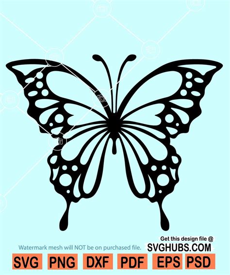 Layered Butterfly Svg Butterflies Svg Butterfly Svg For Cricut