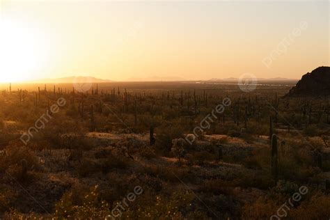 Saguaro Cactus Near Picacho Peak State Park Photo Background And