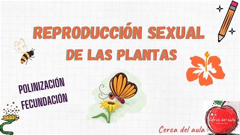 reproducción sexual de las plantas youtube
