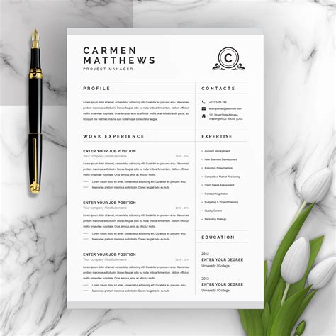 Free Professional Resume Cv Template With Clean Desig