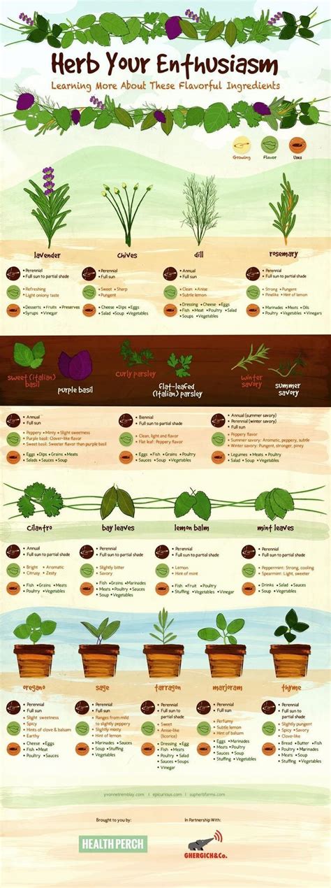 If You Like Herbs You Will Like This Chart Best Herbs To Grow