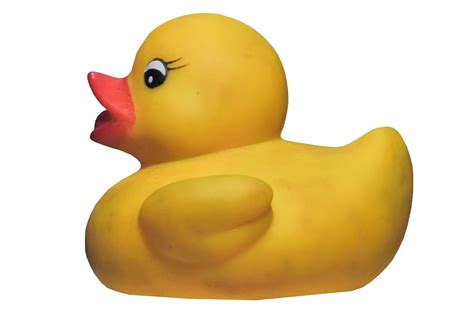 Toy Duck Transparent Background 36619666 Png