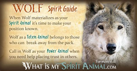 Wolf Symbolism And Meaning Spirit Totem And Power Animal