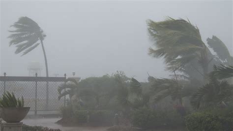 Strong Winds Torrential Rain Typhoon Noul K Stock Footage Screener