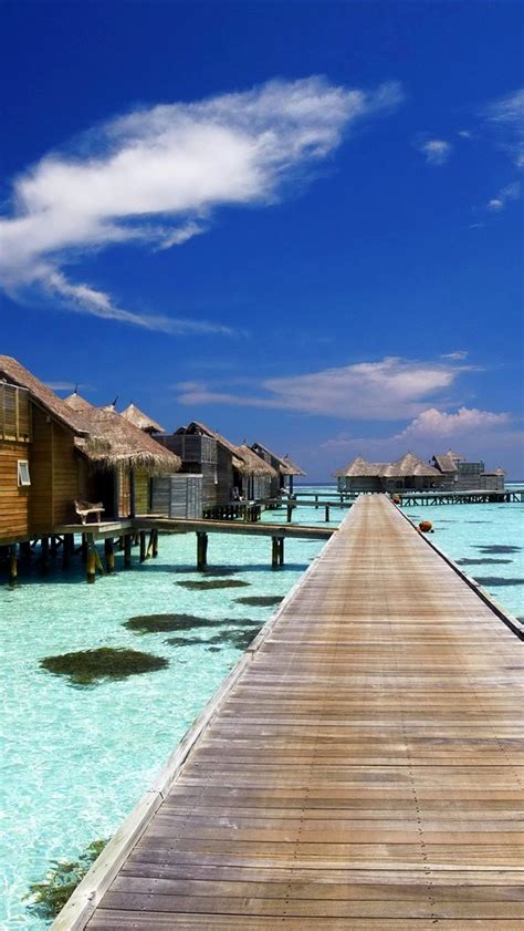 Wallpaper Maldives Tropical Huts Resort Sea 2880x1800 Hd Picture Image