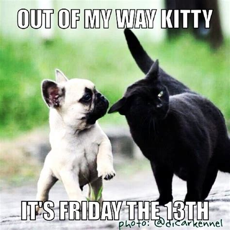 Batpig And Me Tumble It Happy Friday The 13th Batpig Happy Friday