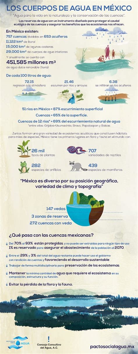 Los Cuerpos De Agua En México Infografía Mx