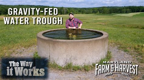 Gravity Fed Water Troughs Protecting Streams Helping Cows Maryland