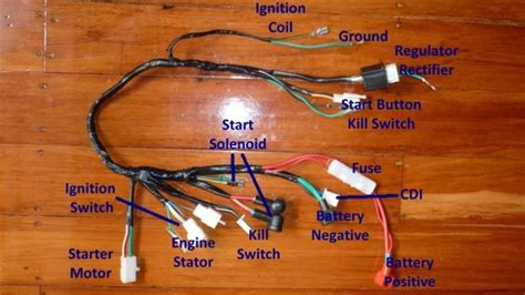 Ebony Wiring Basic Pit Bike Wiring Diagram Online Jobs