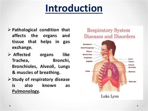 Disease Of Respiratory System