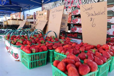 Fresh, Locally-Grown Produce in the Heart of the City: Farmers Markets