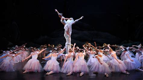 Swan Lake By English Youth Ballet The Oxford Magazine