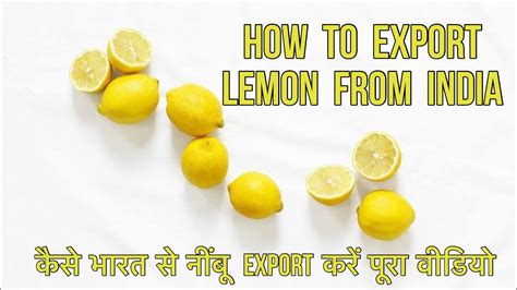 How To Export Lemon From India Export By Sea And By Air By Sagar