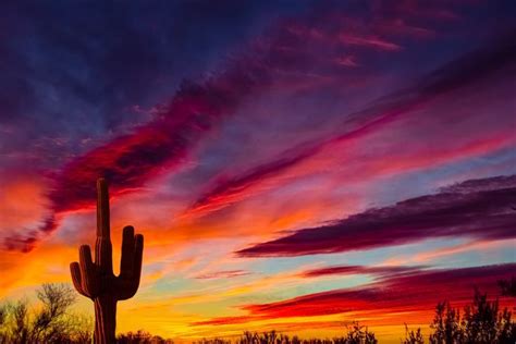 Image Result For Phoenix Sunset Sunset Painting Arizona Sunset