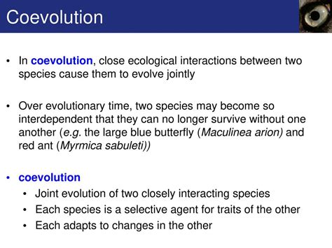 Chapter 17 Processes Of Evolution Ppt Download