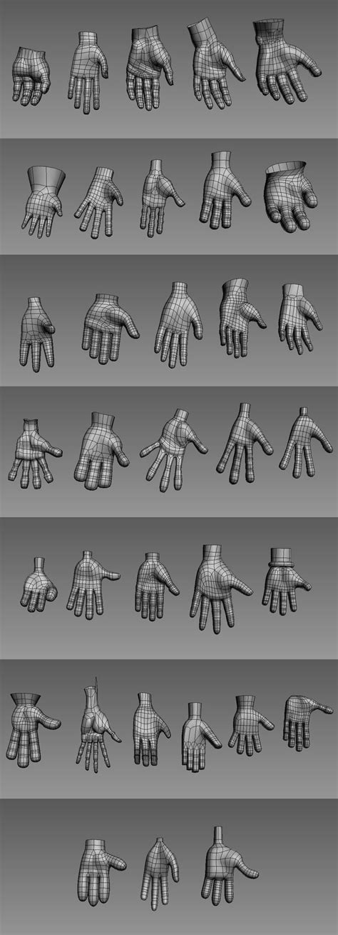 84 Best Images About 3d Human Body Wireframe References On Pinterest