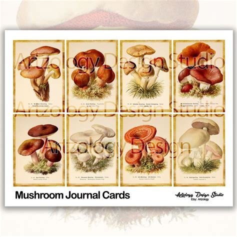 Mushroom Journal Cards Junk Journal Ephemera No 240 Etsy Canada