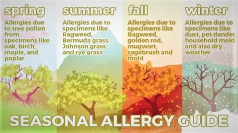 Wish Ur Health Skin Allergy Description Types Treatment And Home