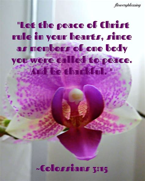 Flowery Blessing Let The Peace Of Christ Rule In Your Hearts Since