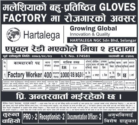 Glove manufacturing is a cash cow business. Factory Worker