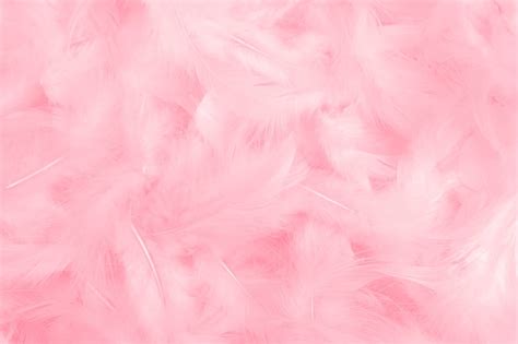Premium Photo Pink Feathers Texture As Background
