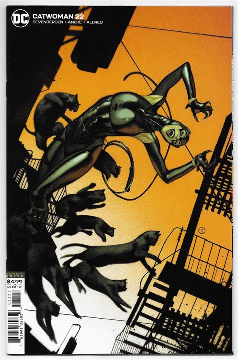 Catwoman 22 Tedesco Variant Dc 2020 Nm Catwoman Batman And