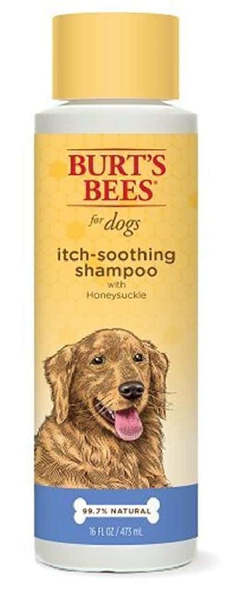 The Best Flea Shampoo for Dogs - Pettley