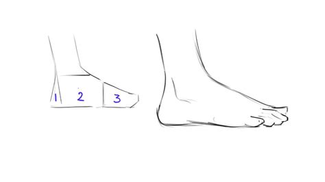 Drawing Feet The Easy Way Lateral View Part 1 Youtube