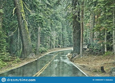 Rain Wet Road Yosemite National Park Stock Image Image Of Rain Roads
