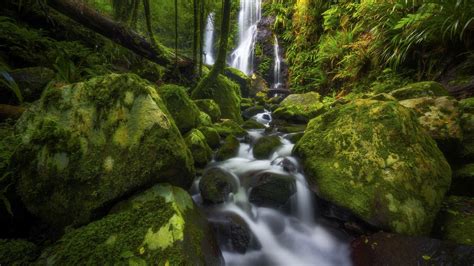 Waterfall Between Trees Covered Rocks And Water Stream Between Algae