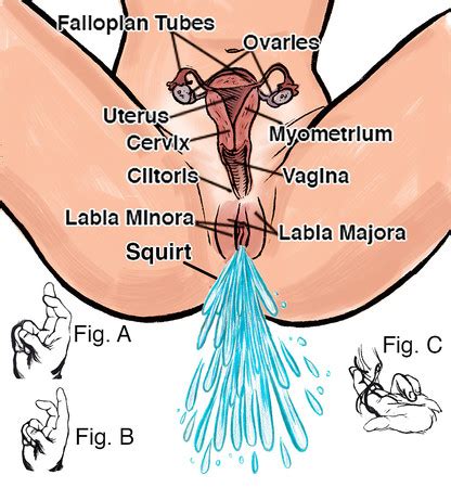 Diagram Of How To Make A Girl Squirt Play Orgasm Sex Positions For Her Min Xxx Video