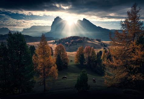 A New Start By Max Rive On 500px Scenic Views Cool Landscapes Scenery