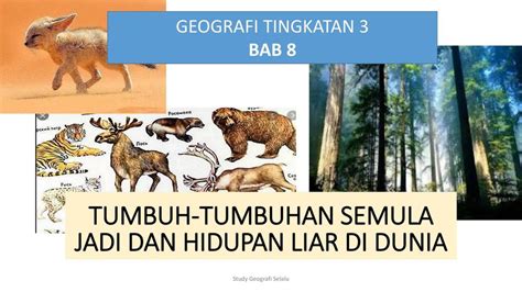 Bab 8 Tumbuhan Semulajadi Dan Hidupan Liar Di Dunia Ulangkaj Quizizz