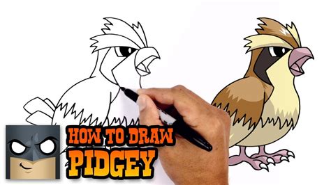 How To Draw Pokemon Pidgey Step By Step Youtube